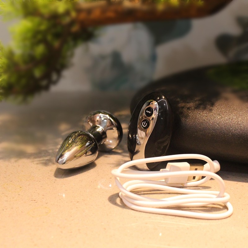 Remote Anal Butt Plug Vibrator Male 10 Speeds Prostate Massager Sex Toys for Men