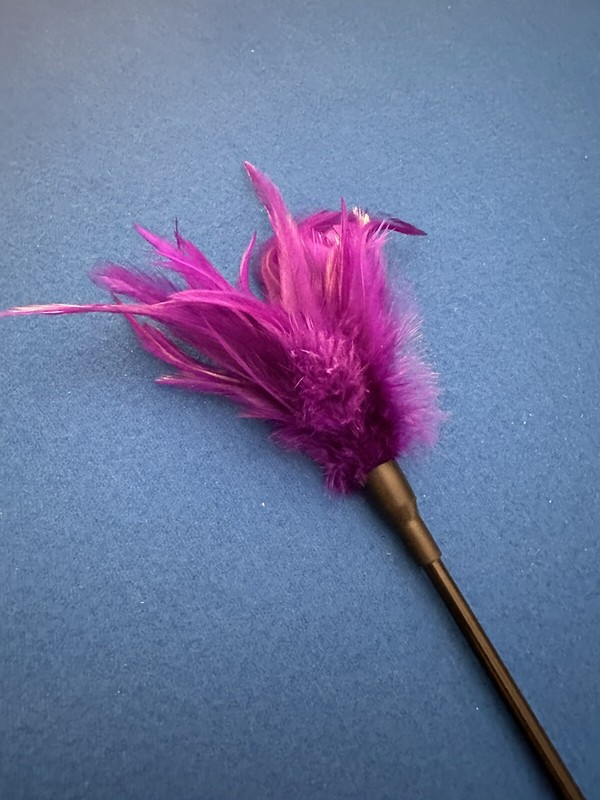 adult toy&rsquo;s women and men feather whip-new without tags
