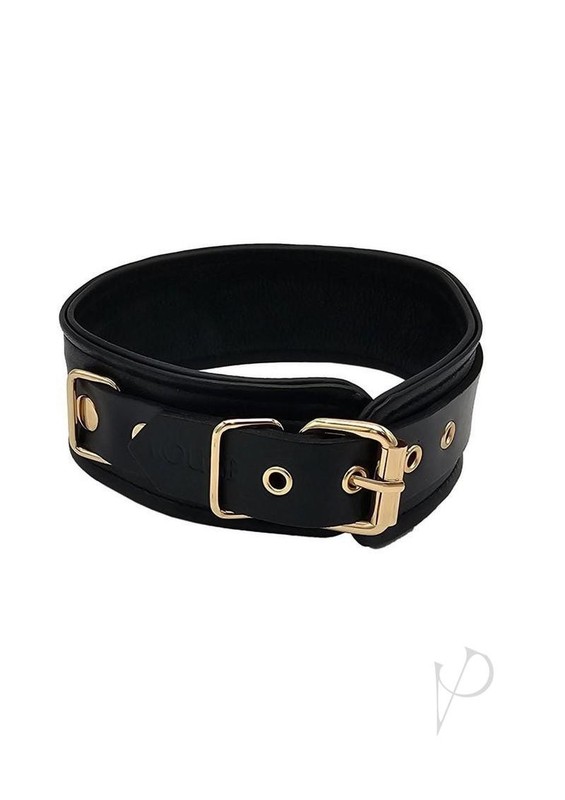 Leather Plain Collar with Gold Accessories - Black/Gold gallery