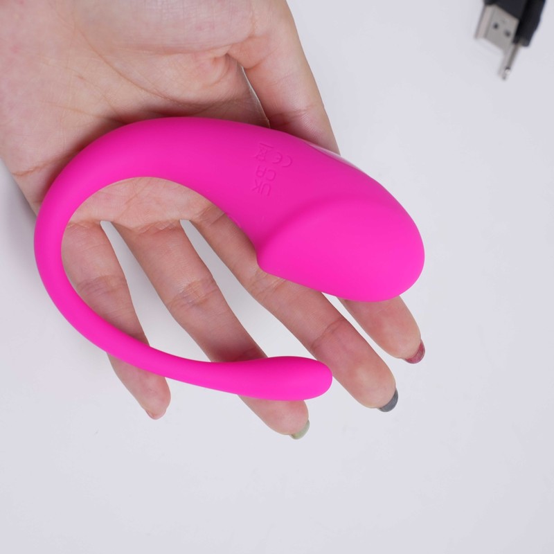 APP Remote Egg Vibrator Control Bullet Clitoral Stimulator G-Spot Dildo Sex Toys gallery