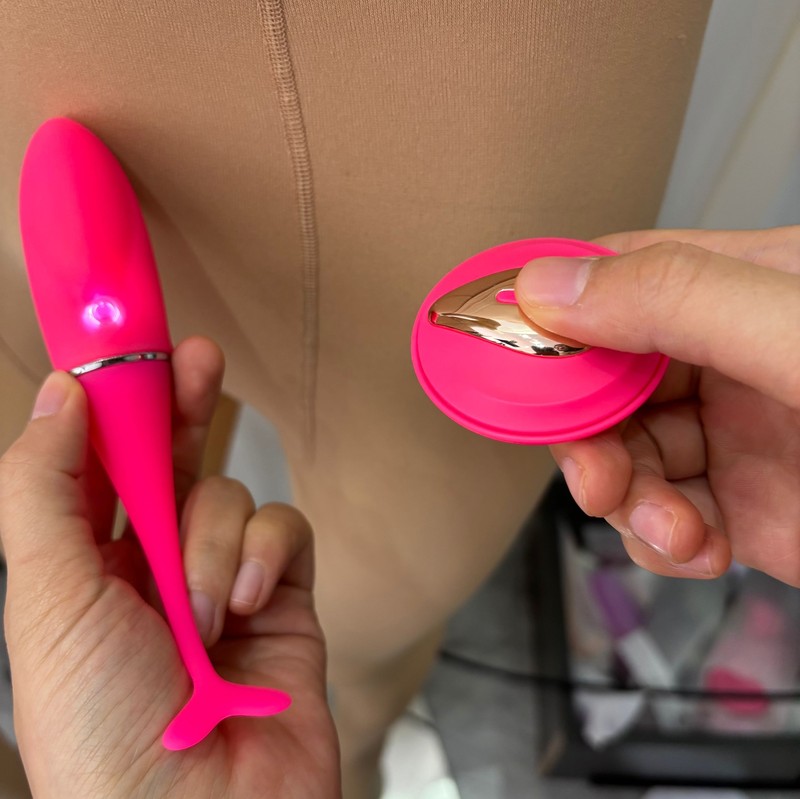 Wireless Bullet Egg Vibrator BDSM Remote Control G-Spot Dildo Sex Toys For Women