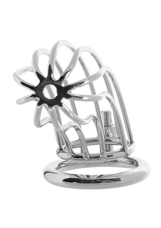 Prisoner Cock Cage - Stainless Steel - free shipping & gift!! gallery