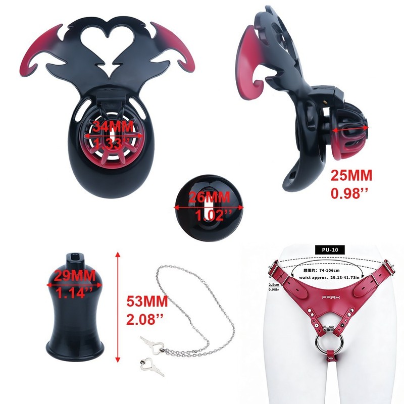 FRRK Chastity Belt Male Strap-on Bondage Lockable Cock Cage Device for US Man gallery