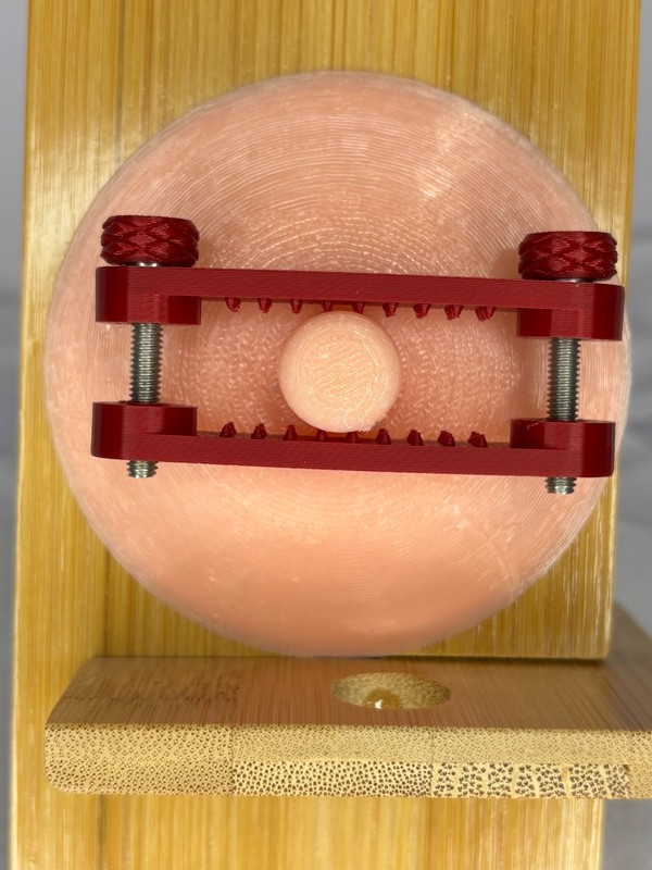 Custom Designed ruby red Nipple Bar Clamps (medium bite) gallery