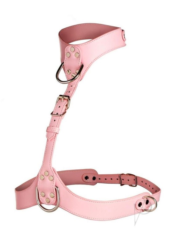 Master Series Vixen Female Chest Vegan Leather Harness - Pink gallery
