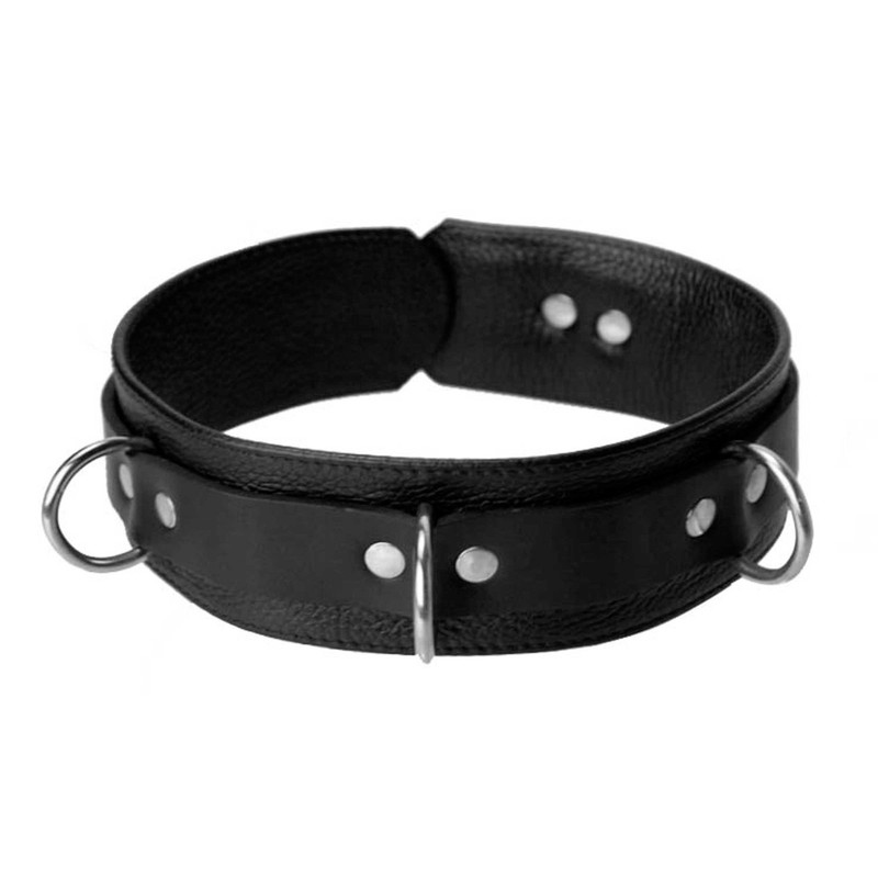 Sick Puppy Leash and Collar Kit gallery