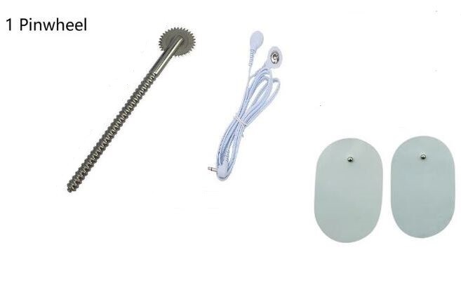 Electro Shock Tens E-Stim Pinwheel Roller Wartenburg BDSM Add-on Accessory