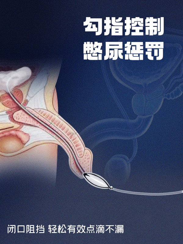 6Pcs Stainless Steel Urethral Sounding Rod With Ring Anal Plug Massager Set gallery