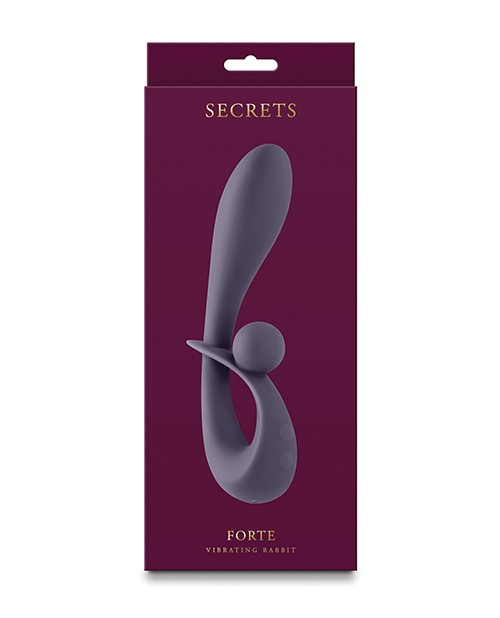 Secrets Forte – Gray