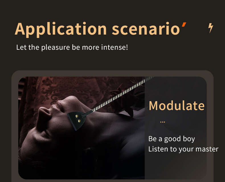 Electric Spanking Whip Flirting Paddle Flogger Torture Slave Sex Toys Adult BDSM gallery