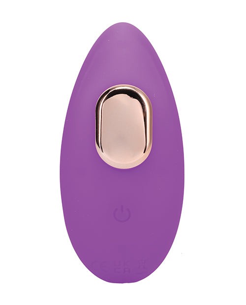 In A Bag Panty Vibe w/Remote – Purple