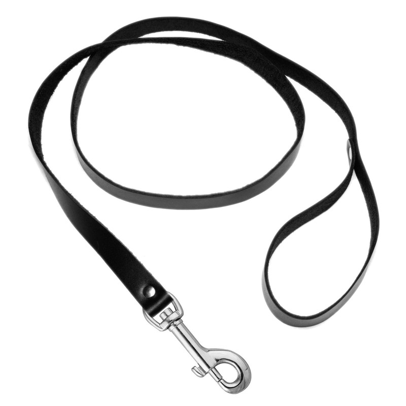 Sick Puppy Leash and Collar Kit gallery