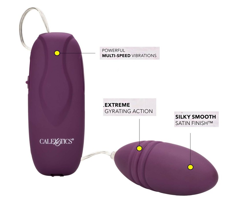 Multi-Speed Bullet Panty Vibrator Clitoral Egg Vibe Sex Toys For Women