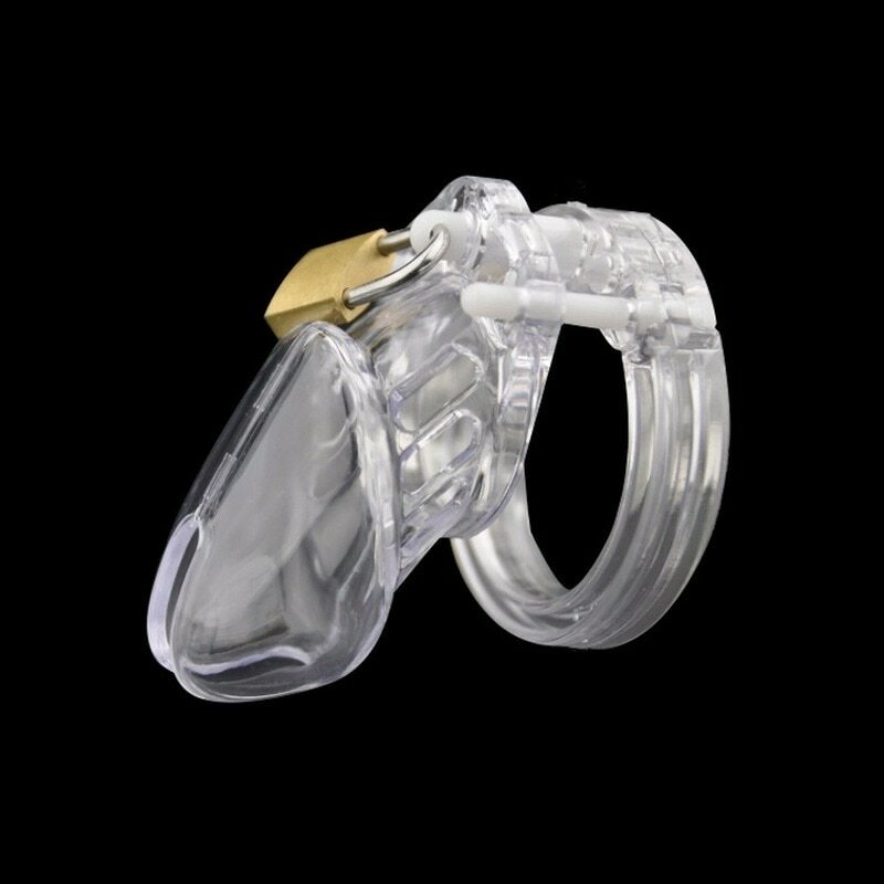 Small/Standard Chastity Cock Cage with 5 Size Rings Brass Lock Adult Sex toy Men gallery