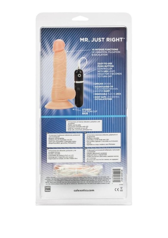 CalExotics Mr. Just Right Vibrating Dildo gallery