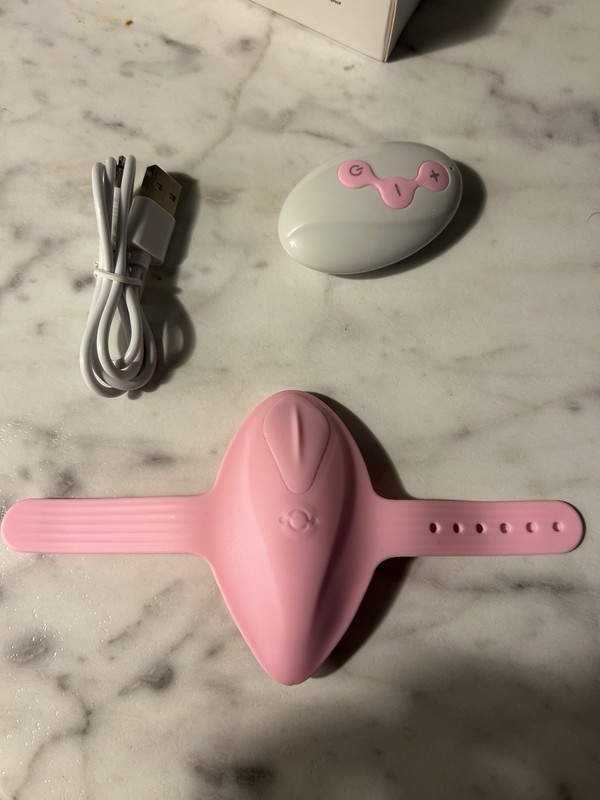 Wearable Panty Vibrator Remote Control Rechargeable Wireless Massager Pink