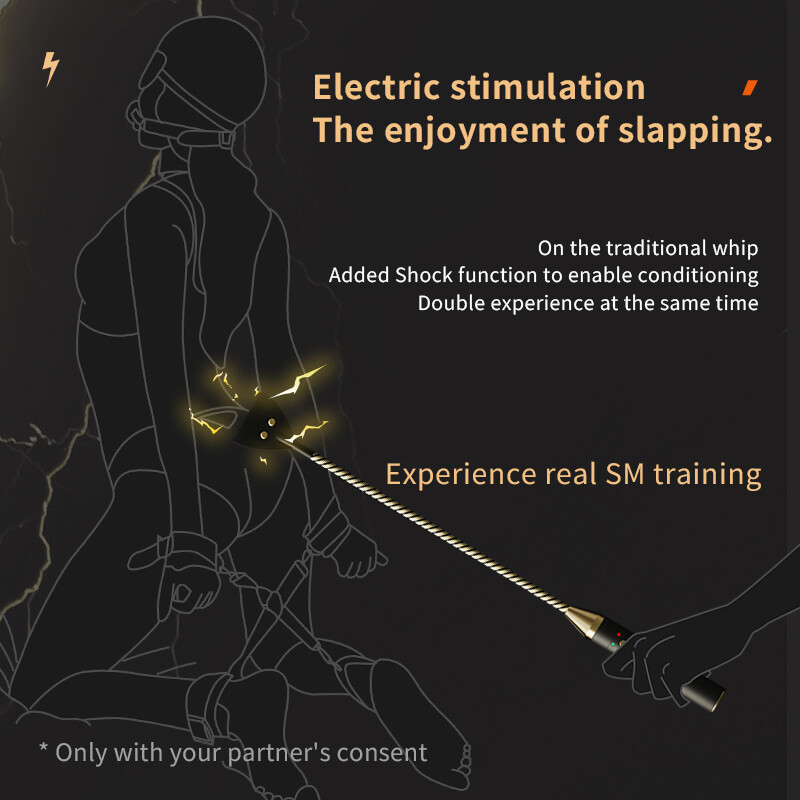 Electric Spanking Whip Flirting Paddle Flogger Torture Slave Sex Toys Adult BDSM gallery