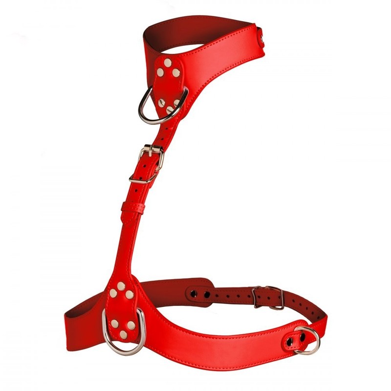 Master Series Vixen Female Chest Harness - Red