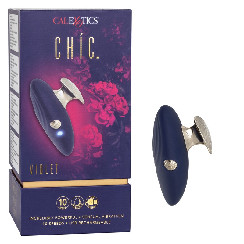 Chic Violet Silicone Rechargeable Massager multi-speed Vibrating Sex Toy Blue gallery