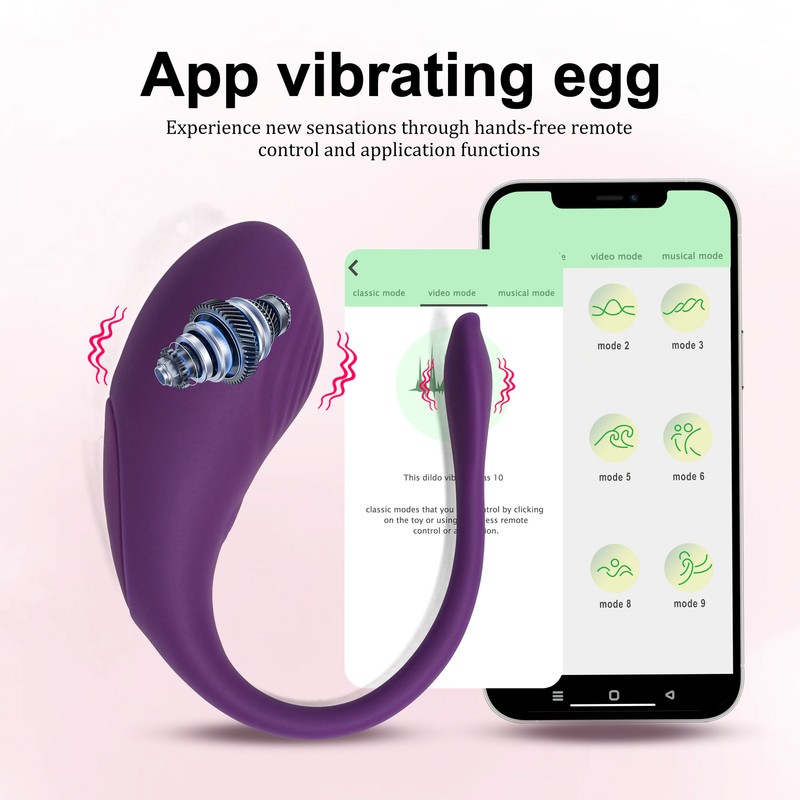 Wearable Vibrator Panties Dildo G-Spot Massager Sex Toy for Women Remote