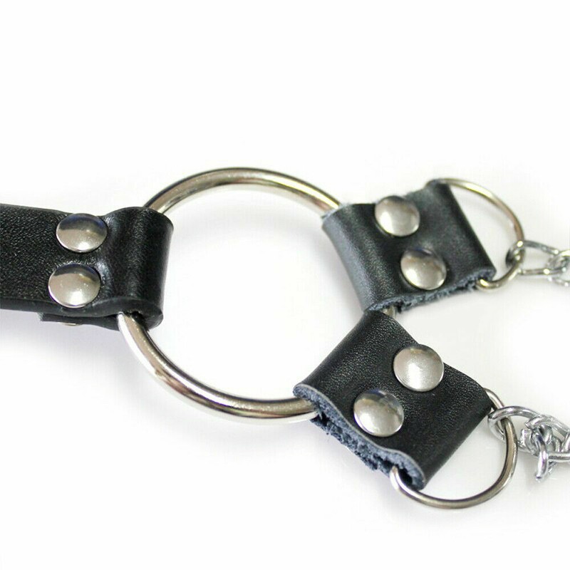 Metal Cock Ring with Nipple Clamps Set for Men, Scrotum Ring, Penis Ring, Balls gallery