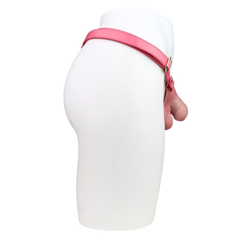 Wearable Male Chastity Cage Silicone Realistic Penis Restraint Lock Device Belt gallery