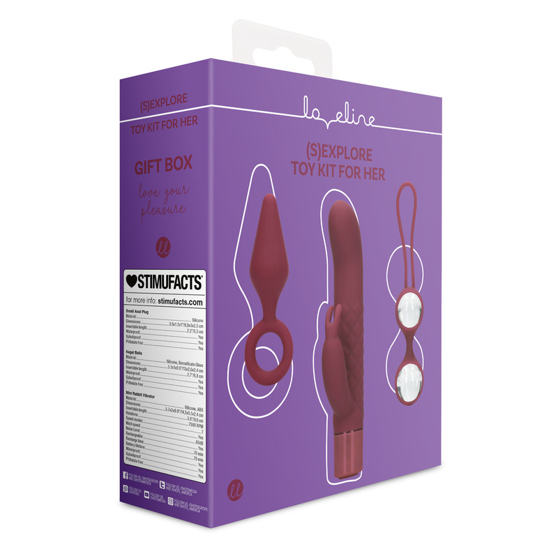 Erotic Gift Box: Mini Rabbit Vibrator, Kegel Balls, Anal Plug gallery