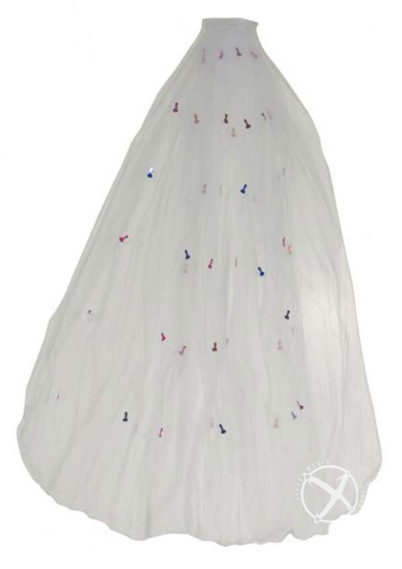 Naughty Veil Fun and Playful Bridal Accessory