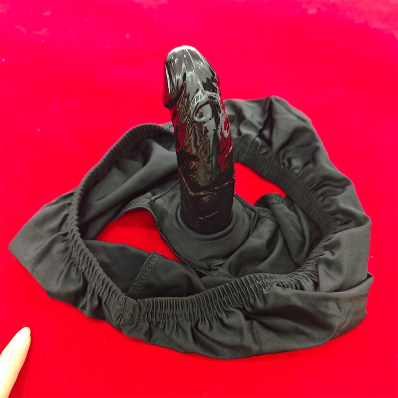 Chastity Panties with Dildo Detachable Penis For Lesbian Gay Adult Underwear SM