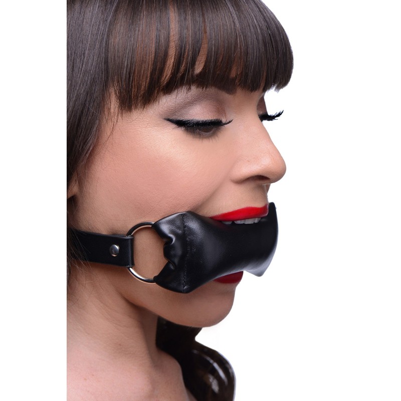 Padded Pillow Mouth Gag gallery