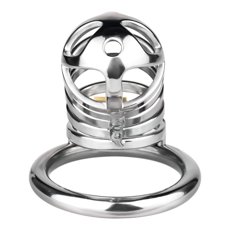 Metal Hollow Chastity Device Realistic Penis Cage Bondage Rings Men's Cock Cage gallery