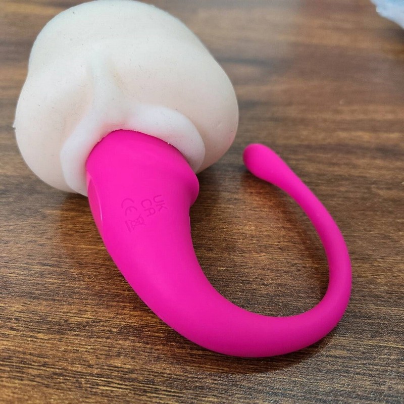 APP Remote Egg Vibrator Control Bullet Clitoral Stimulator G-Spot Dildo Sex Toys gallery