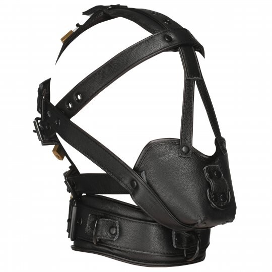 Lockable Head Harness with Muzzle gallery