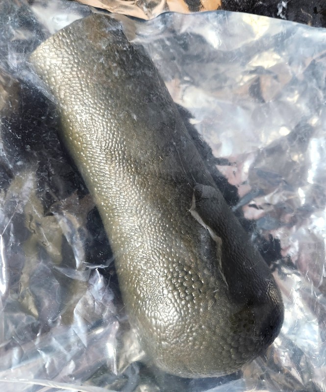 NEW Bad Dragon TWITCH Fantasy Silicone Stroker Toy Masturbation Sleeve RARE