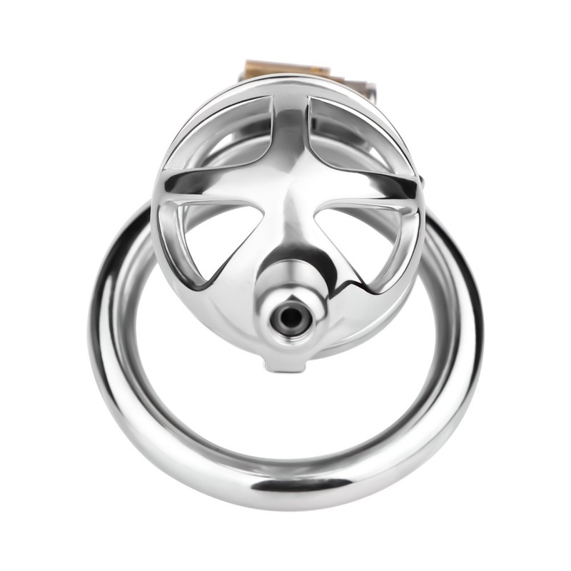 Metal Hollow Chastity Device Realistic Penis Cage Bondage Rings Men's Cock Cage gallery