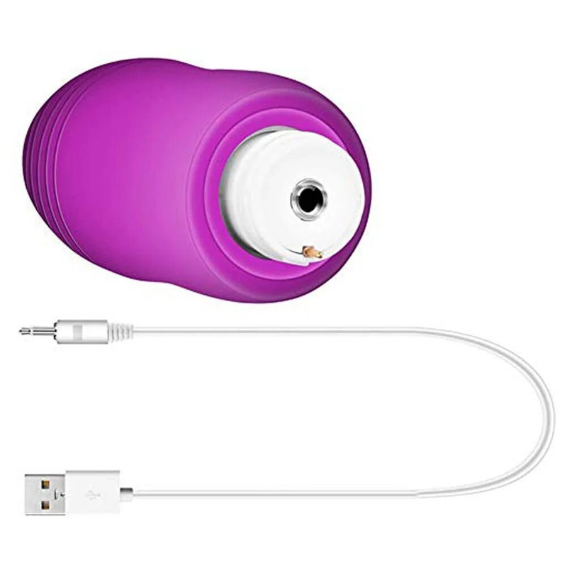 Remote Control Rechargeable Wearable Love Egg Vibrator 10 Speed Sex Toy Women gallery