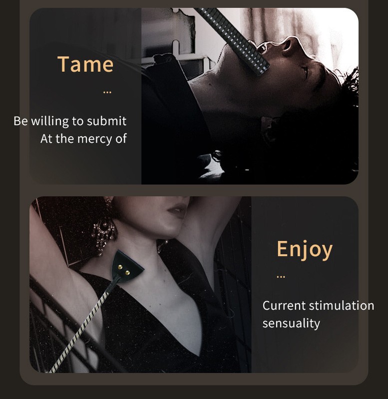 Electric Spanking Whip Flirting Paddle Flogger Torture Slave Sex Toys Adult BDSM gallery