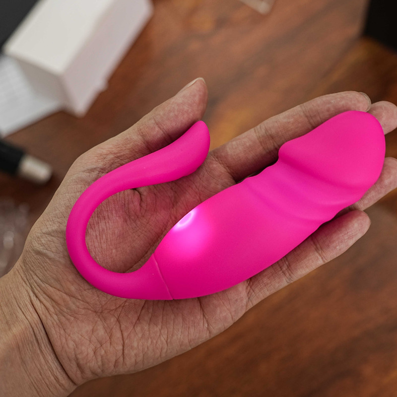 Vibrator Egg Bullet Clitors Dildo Massager Wearable G-Spot Sex Toys for Women US