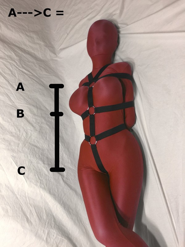 Five-Point Poly Webbing Bondage Harness (Male Genital Ring) gallery