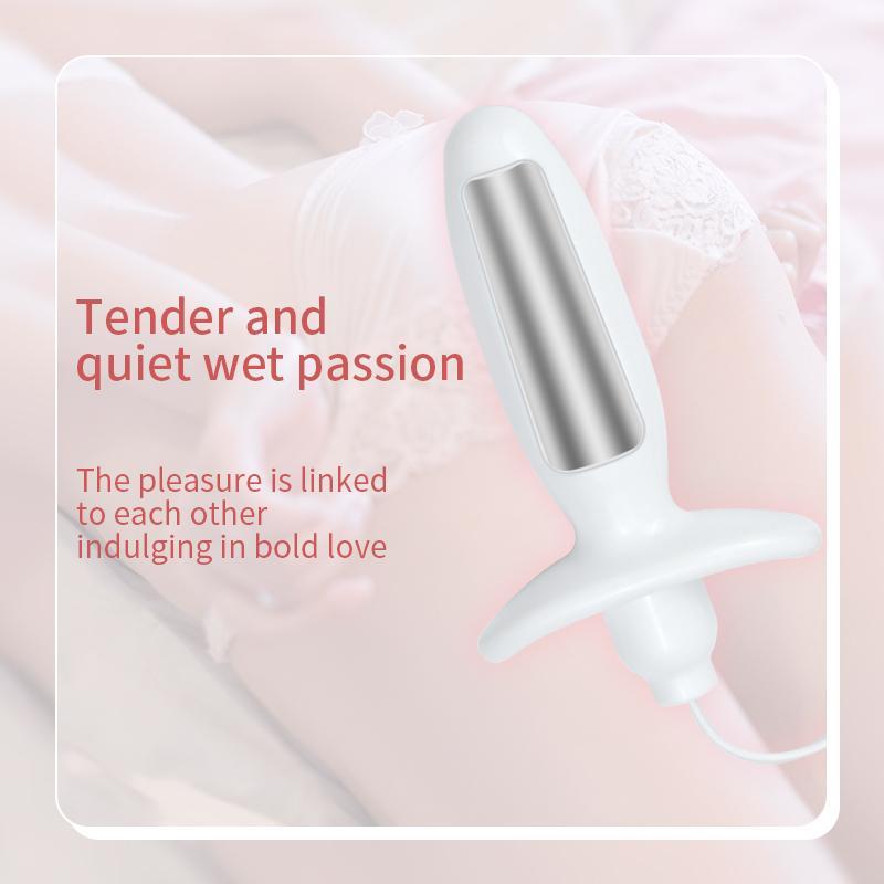 Anal-Butt-Plug-Electro E-stim Prostate Massager Shock accessory for Men Women US gallery