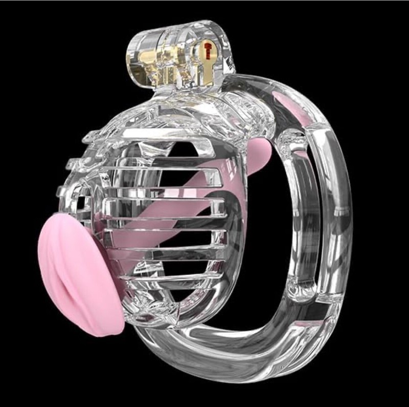 3D Printed Chastity Cage Chastity Devices for Men 4 Ring Sizes Transparent B