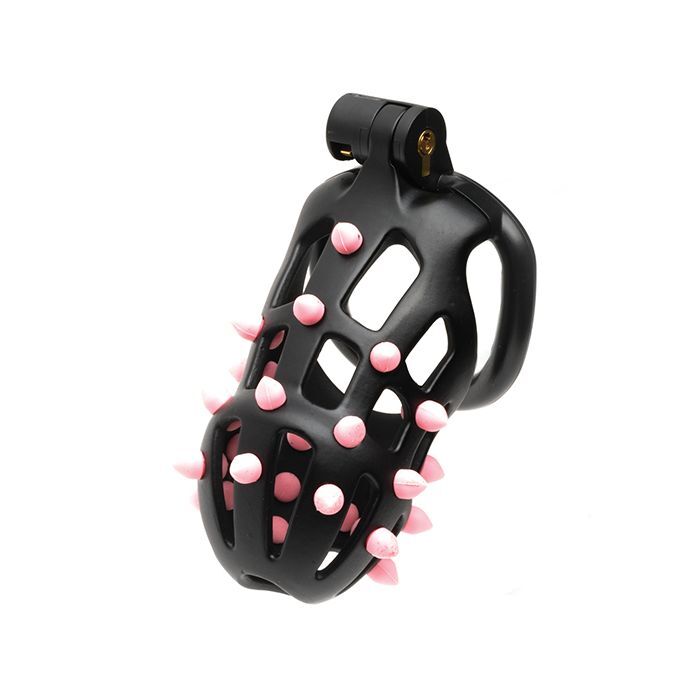 CELLMATE FLEXISPIKE CHASTITY PENIS CAGE