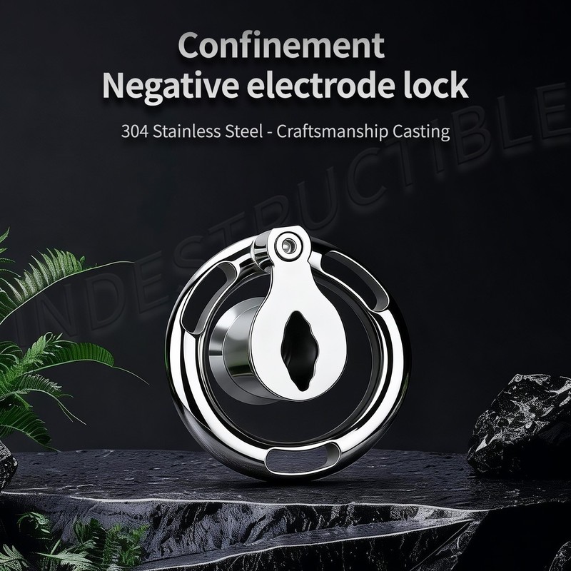 Male Metal Chastity Cage Lock Kit Curved Rings 2 Sizes Stainless Steel Device gallery