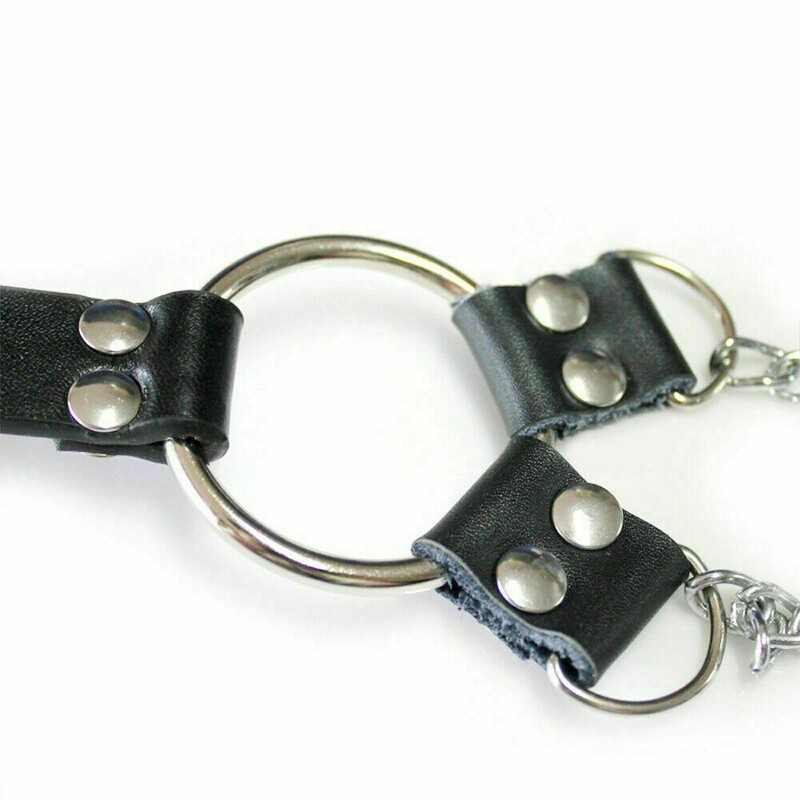 Metal Cock Ring with Nipple Clamps Time Delay gallery