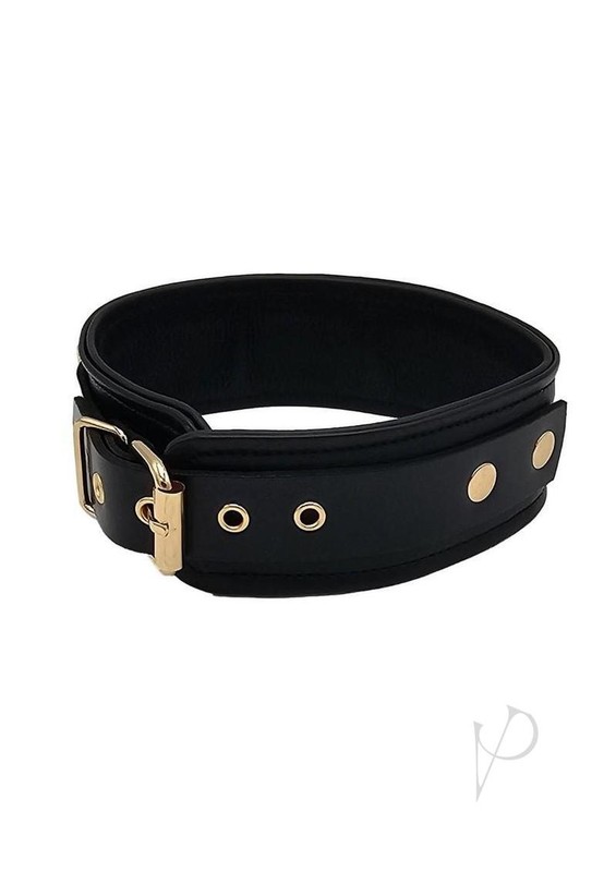 Leather Plain Collar with Gold Accessories - Black/Gold gallery