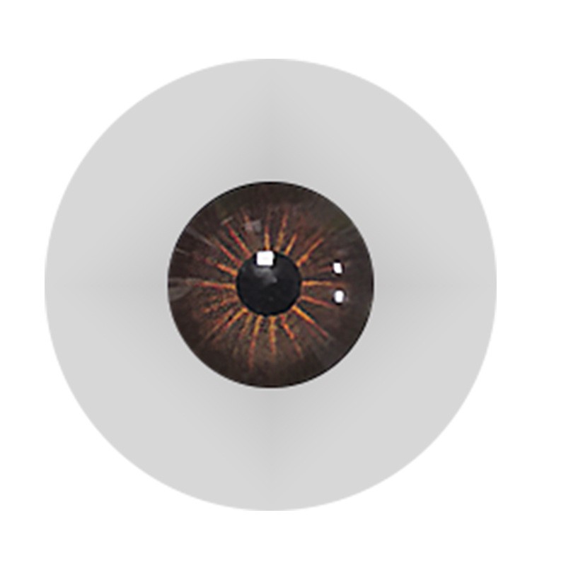 Realistic Brown Eye for TPE Silicone Torso Adult Sex Toy (Brown Eyes Only)