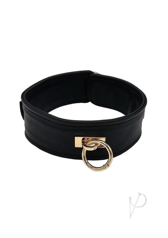 Leather Plain Collar with Gold Accessories – Black/Gold