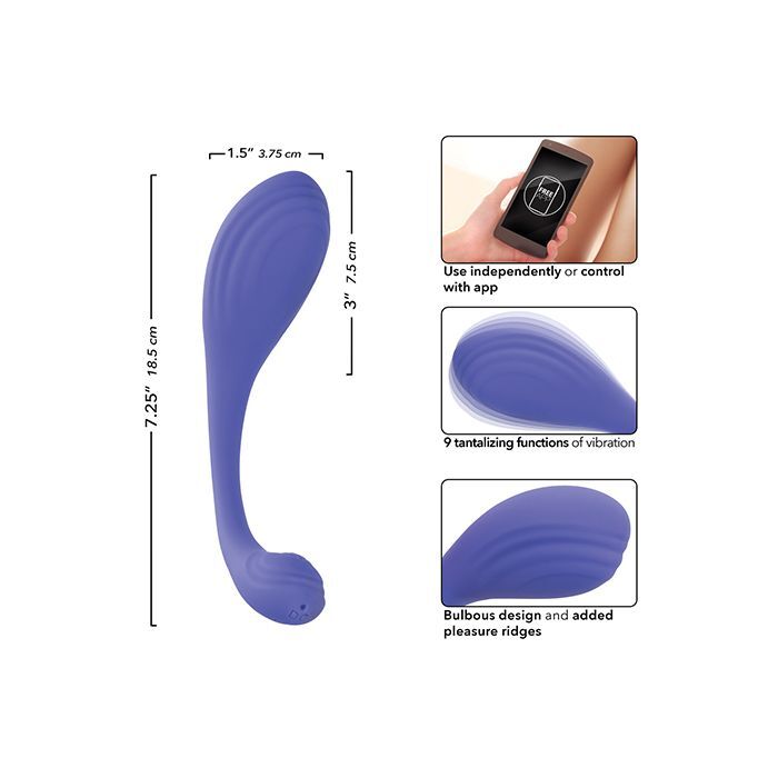 Connect App-Controlled Vibrator Based Kegel Exerciser gallery