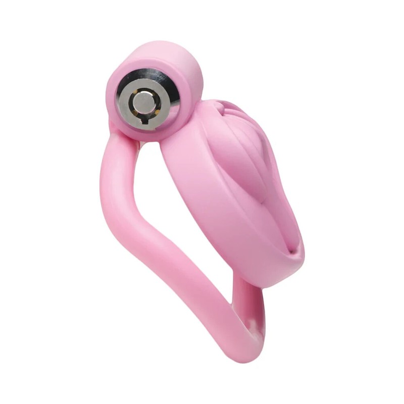 Pussification Vulva Chastity Cage gallery