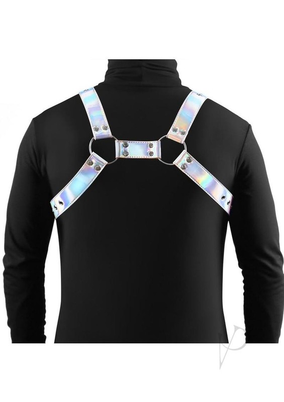 Cosmo Harness Rogue Chest Harness - Large/XLarge - Rainbow gallery